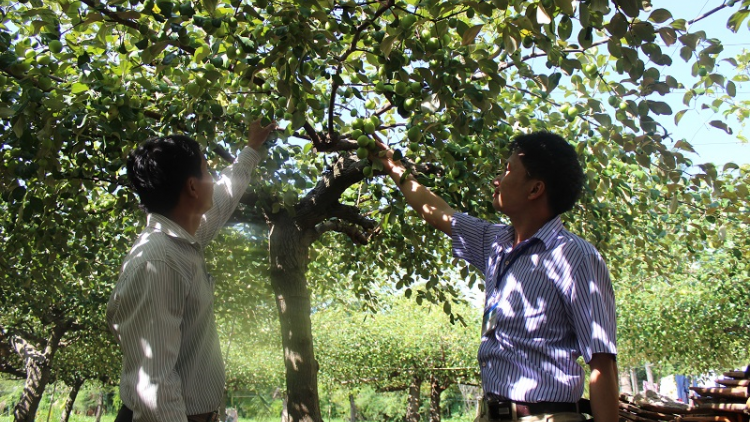 Khaw tin 06h30 harei 30/12