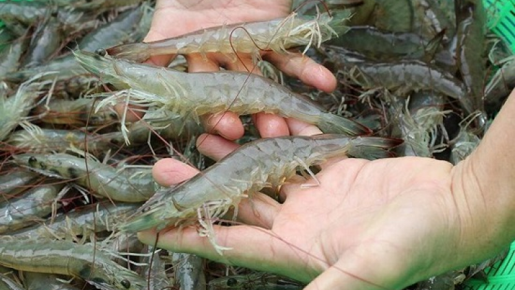 Raong hadang cong ngiep tapen tasik