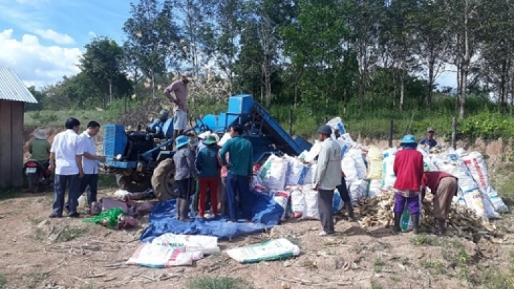 Urang bangsa takik pandik hatai kayua  tangei  oh hu asar