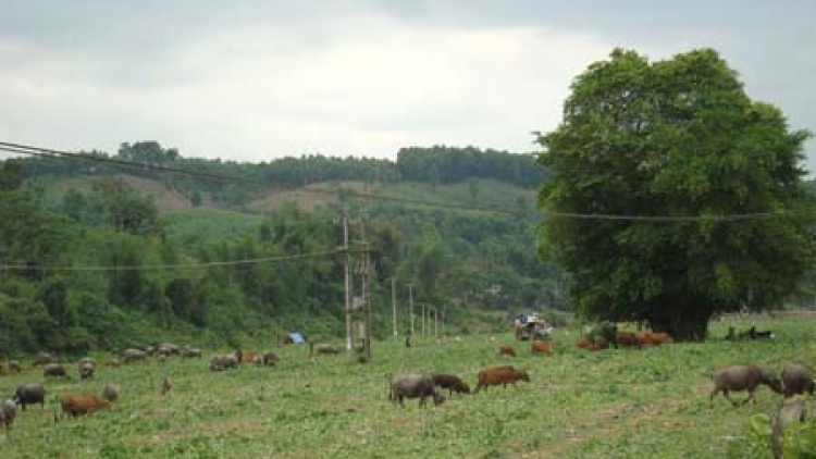 Tinh Quang Ngai daong bhapbini bhum glaong trun takik khat lihik