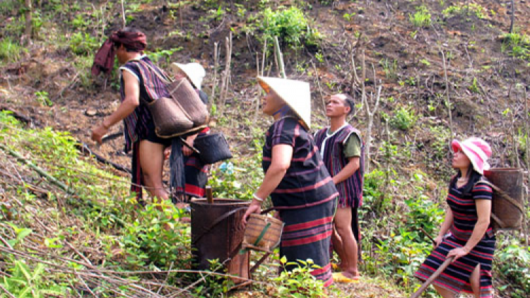 ilimo khik phun padai apuh di Urang Pako Van Kieu tinh Quang Tri