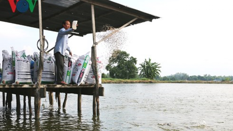 An Giang: Urang taha ngak nong min abahi thatai ngak bruk pahala
