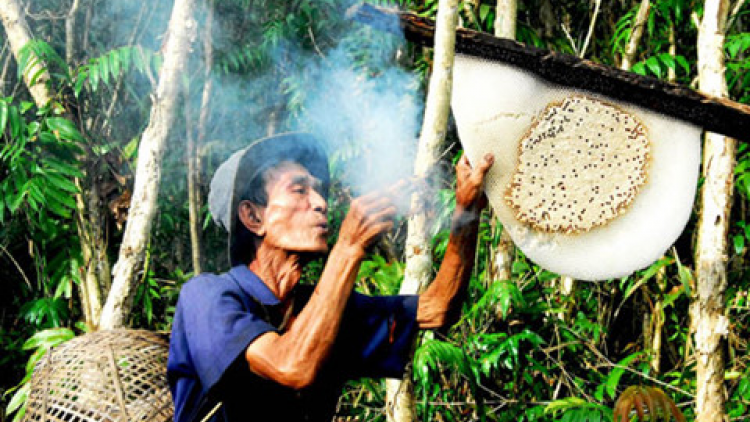 Bruk khik njaik mek sruh danko hani dalam glai U Minh Hạ