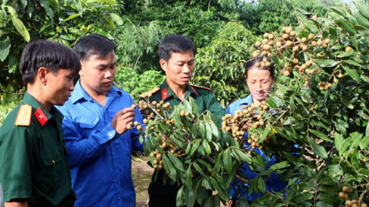 Ninh Thuận: Patagok baoh nho Vietgap pagam haong du lịch sinh thái bein ​