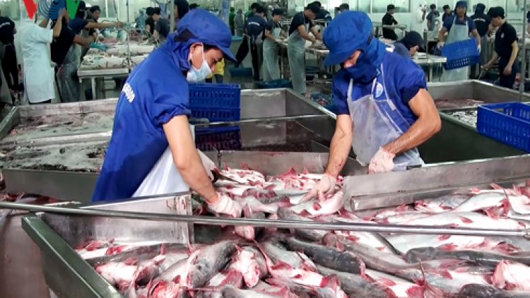 Kinh te bhum taneran kraong Cuu Long hu salih barau