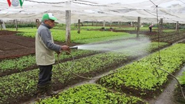 Khaw tin 10g30-14g30, harei 6/2/18