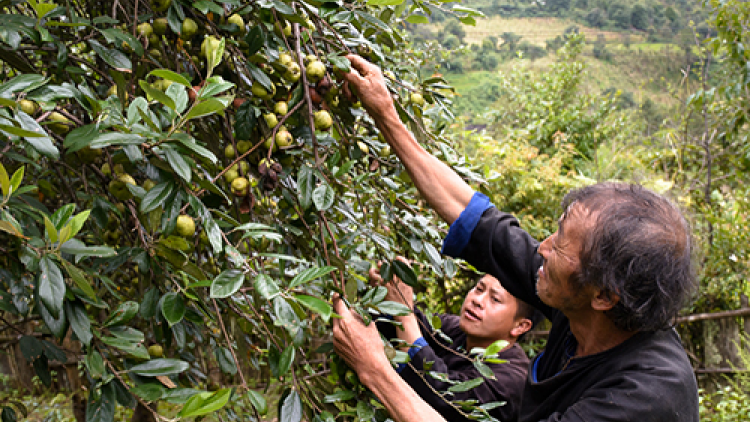 Khaw tin 10h30 saong14h30 harei 25/5