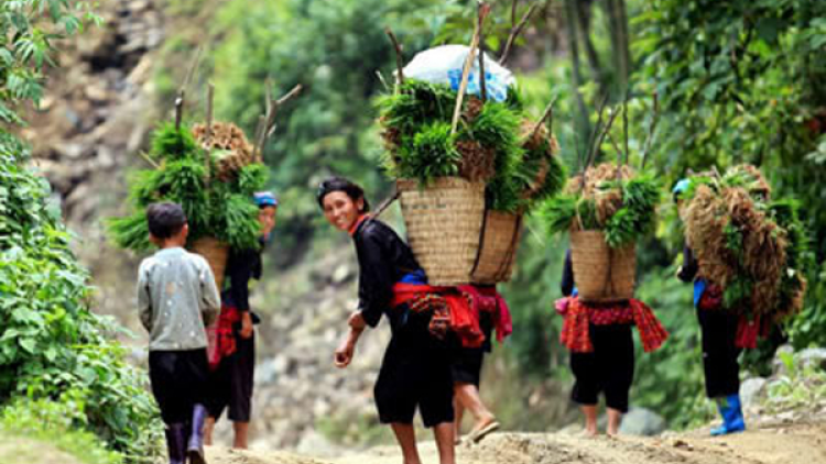 Boh gùi di urang banga Giẻ -Triêng