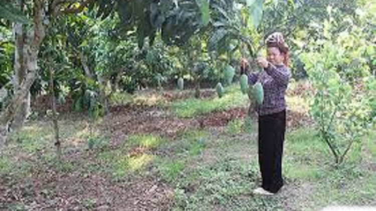 Urang kumei bangsa Thái duah jien tame meng pala phun mbang baoh