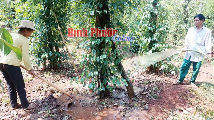 Binh Phuoc: Gah ngak nong sami samar pacang pandiak thu lagu