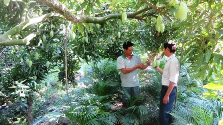 Biak uan tabuan ka bhum palei pala rilo  pa-ok