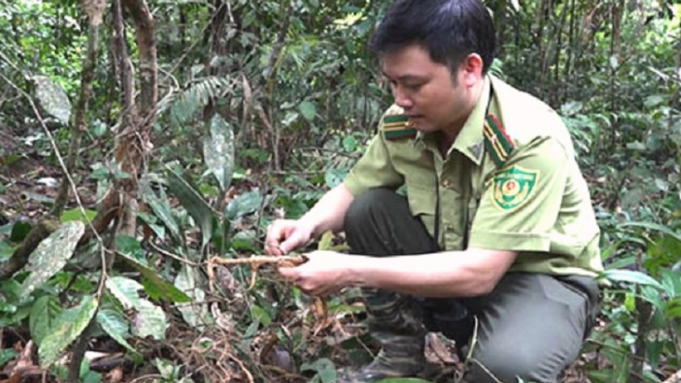 Phun jru daong ka urang Cơ Tu di Quảng Nam tapa truh kathaot