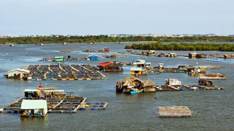 Pacang caga jit palai kaik ka njam mbang hala