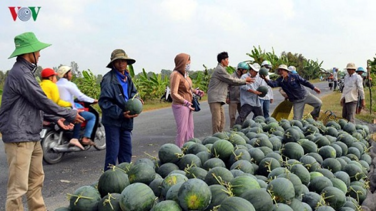 Sóc Trăng: Mbeik drei yam tagok meng danak dak padang ngak palei pala bahrau