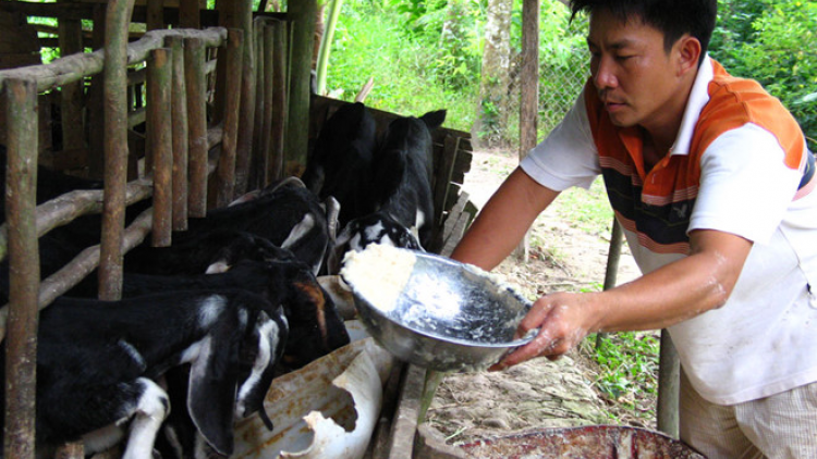 Tiền Giang pachreih raong pabe di dom labik kan kandah