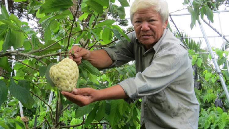 Urang nong ngan haong bein kandiuk baoh prong