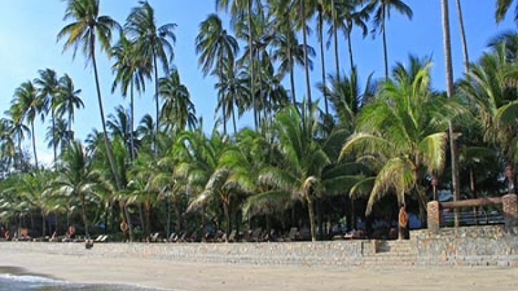 Binh Thuan: Patagok bruk pala li-u di taneh cuah dulich Ham Tien