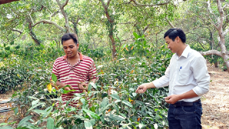 Tuk halei njuak taduan mek veik sổ bhong