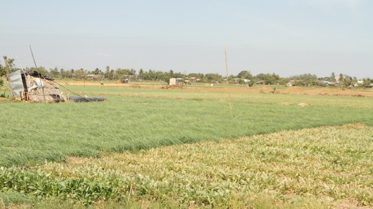 Sóc Trăng: Pala njam patam daong ka bhap bani Khmer hu jien mek tame rilo jang