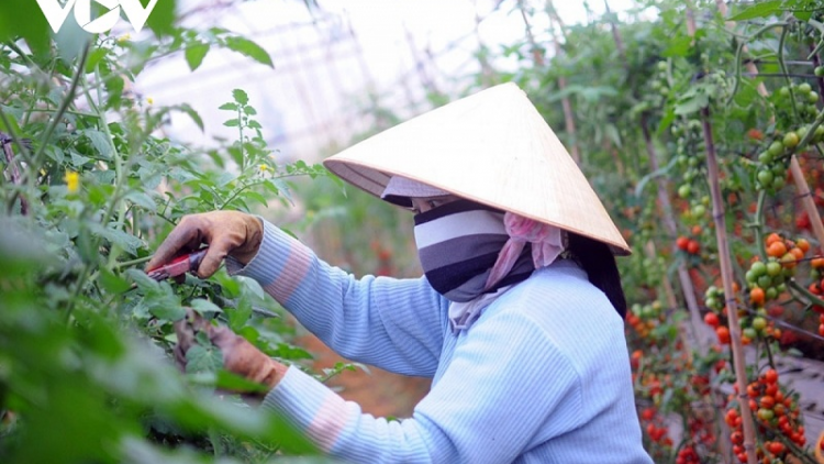 Lâm Đồng brei peih phun jien ka bruk ngak tabiak kaya nong công nghệ glaong