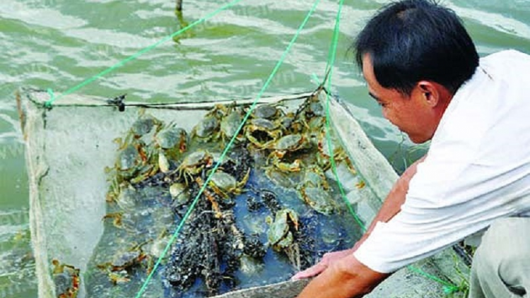 Raong arieng tasik  mek hu laba glaong