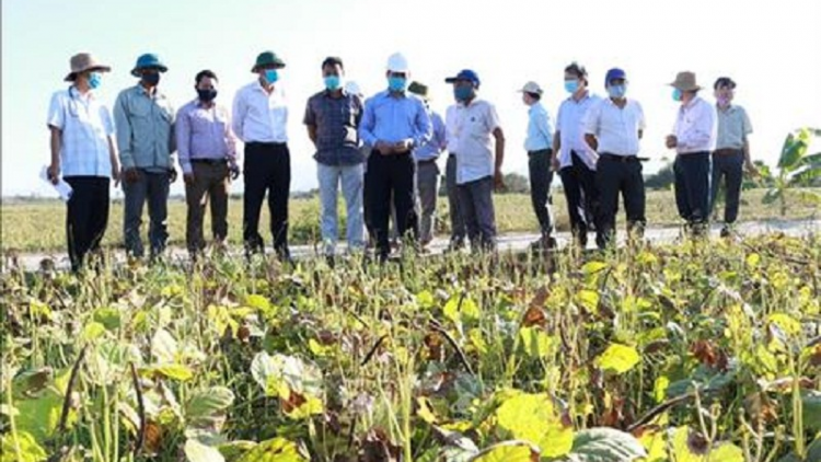 Kan kandah si duah ia ka bruk ngak nong di tỉnh Ninh Thuận