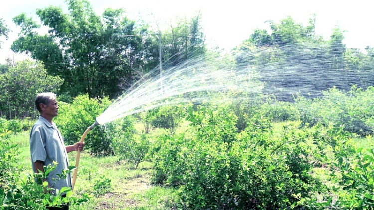 Tra Vinh: hu điện mai, bruk ngak mbang kinh tế hu patagok