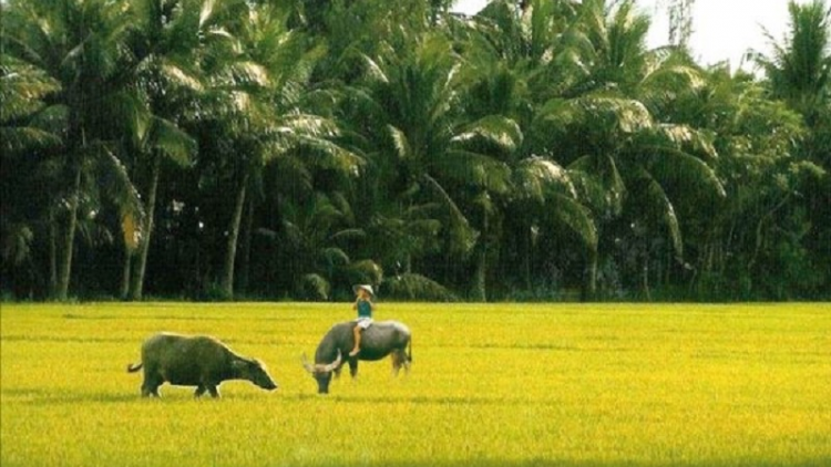 Patagok rilo jang ilamu Cách mạng di Bến Tre