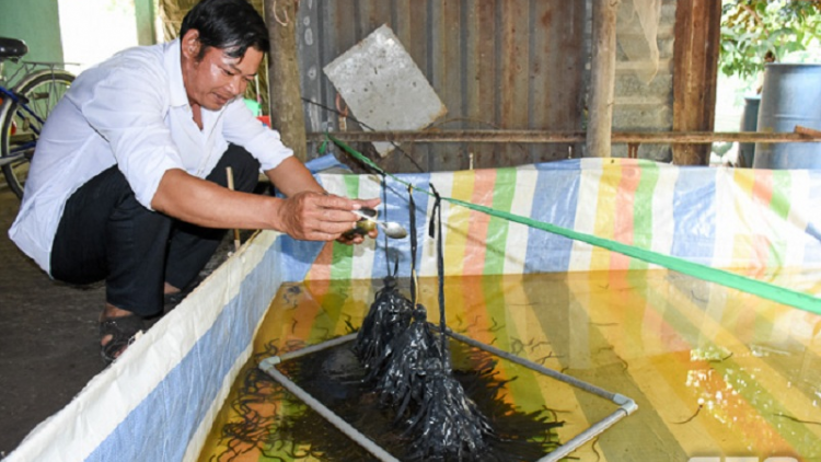 An Giang: Tauk blah nylon angaok bein piah raong lanung hu kein laba