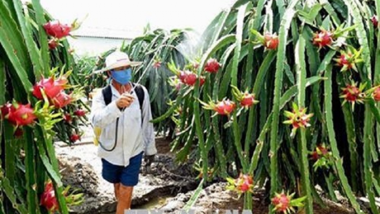 Bình Thuận salih janih phun pala bhum mik va bangsa takik