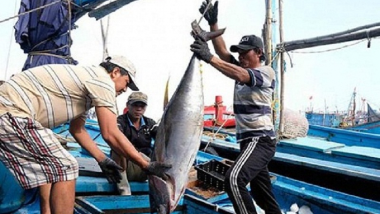 Lang talaih thẻ vàng, dom tỉnh bhum taneran kraong CL hu ngak catang min jeng daok dom kan kandah brei hu paok talaih