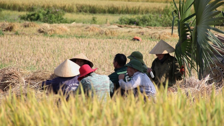 Daong habar piah plaih labik caong oh hu, pandap hu rahra oh ka khin