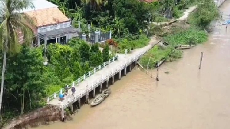 Urak ini, bhum taneran kraong Cuu Long hu labaih 500 labik glut jaleih tapen kraong, tapen tasik. Yaok thun, glut jaleih ngak lahik labiah 300 hecta taneh, glai ia mbak tapen tasik, labaih 19 ribau baoh sang daok tapen kraong brei panduan ba nao labik karei plaik njaik bala