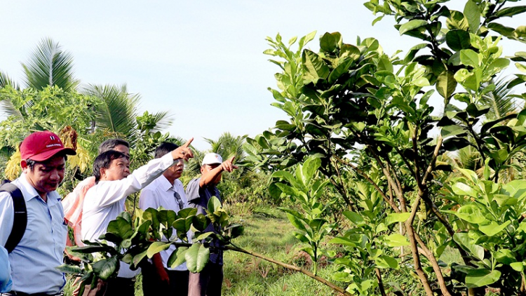 Bien kruac bhung hijao dalam mblang hamu padai