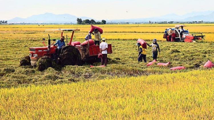 Ninh Phước tapa 3 thun peih ngak mô hình mblang hamu praong