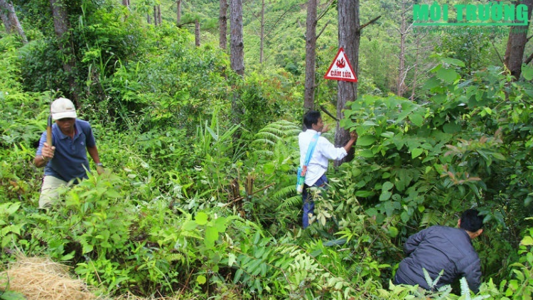 Sarak bayar jien dịch vụ môi trường glai piah patrun naong trak ka kadung jien karja, rik daong tame bruk pacang khik saong cak rok patagok khang kajap tài nguyên glai