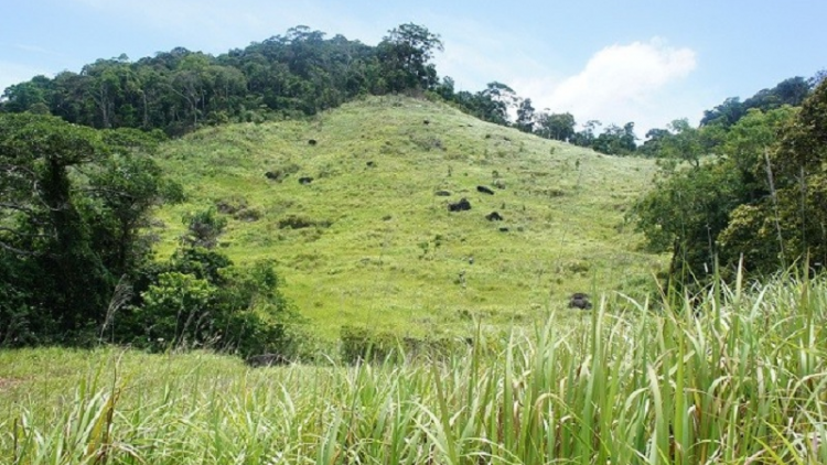 Việt Nam hu gac 2 labik khik ramik sinh quyển huc UNESCO brei angan, nan lac Bein pakat negar Núi Chúa (tỉnh Ninh Thuận) haong labik khik ramik sinh quyển cao nguyên Kon Hà Nừng (tỉnh Gia Lai).