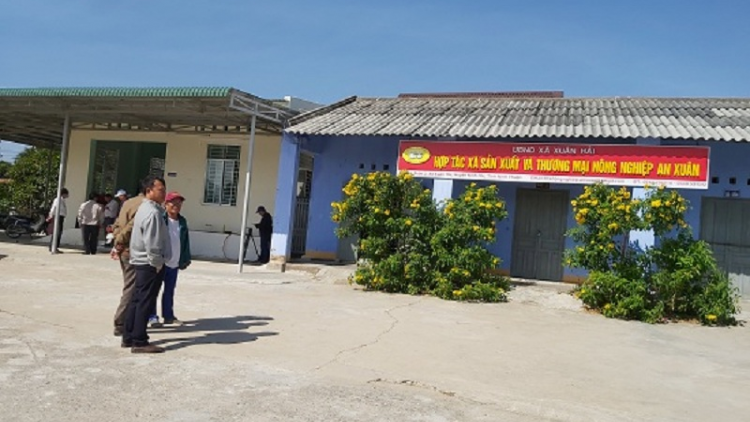 Ninh Thuận patagok bruk ngak di HTX bhum urang Cam