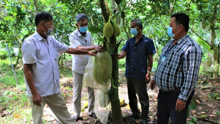 Ong Nguyen Van Mum, urang dahlau daih ngak bol lin, ngak mbang naih joi meng bruk ngak nong