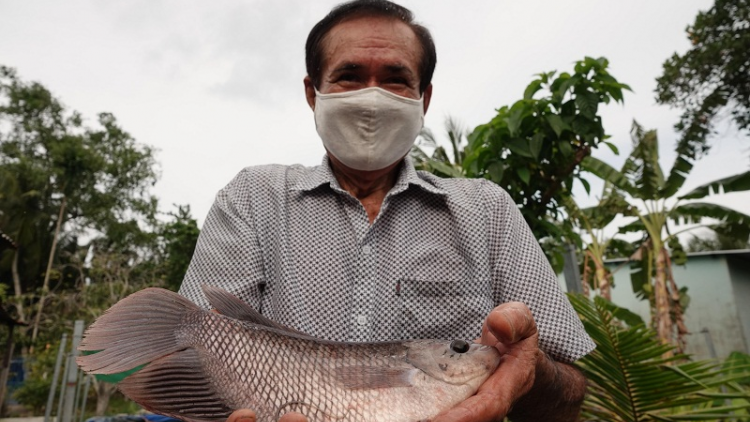 Raong ikan tai tượng dalam danao ximang, laba hu rituh trieu yaok  thun