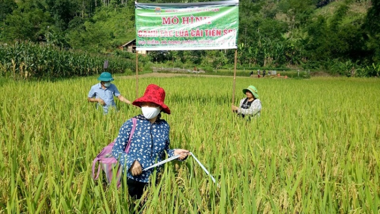 UB Bangsa padang ngak " Danak dak KH & CN piah patagok kinh te XH  bhum urang bangsa takik saong bhum ceik tukvak 2021-2030”