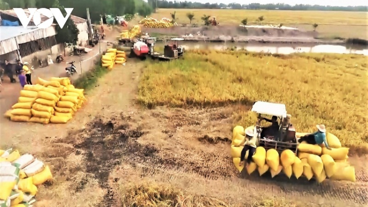 Duah jalan pablei yaok triệu tấn padai di bhum taneran kraong Cửu Long