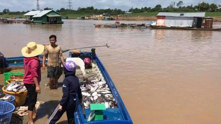 Raidiuk yau dahlau veik di bhum bhap bini bangsa takik tỉnh Phú Yên