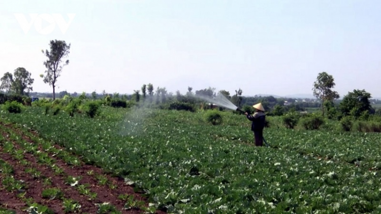 Urang ngak nong di Đong Nai kham merat pasiam veik bruk pala drak hadei di jit COVID-19