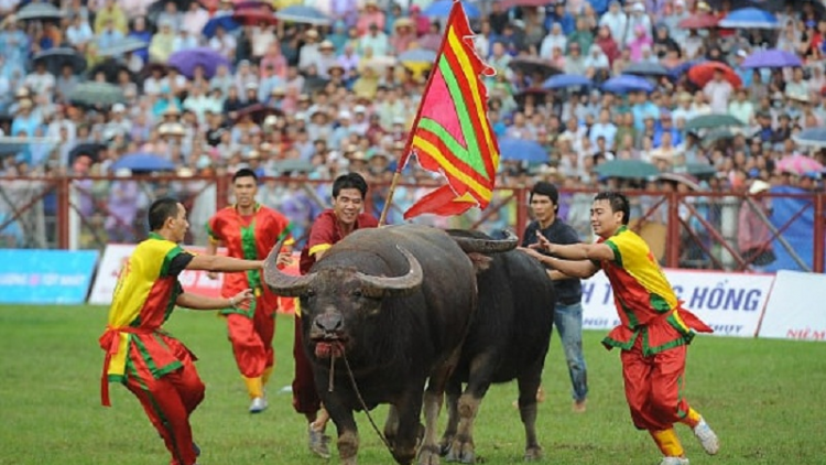 Harei pataom ginuh kubao di Đồ Sơn