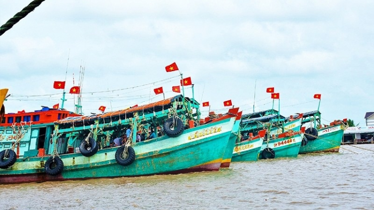 Trung Quốc khan brei thau bruk padeih taong mek ikan hu tukvak, meng 12 tuk harei 1 bilan 5 tal 12 tuk harei 16 bilan 8 thun 2022 ngan saong taong abih dom bruk taong mek ikan, langiu vah ikan di dom labik tasik