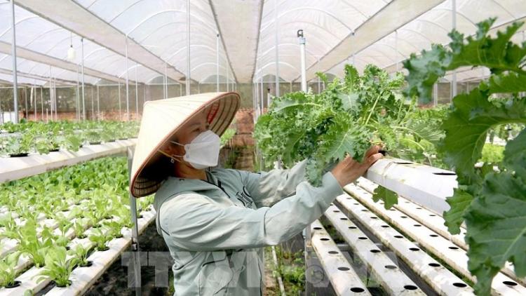 Binh Thuan salih tapa pala dom janih phun mbang daoh, njam patam diuk hu dalam pandiak bhang