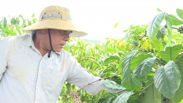 Patagok bruk ba akaok nao dahlau di urang đảng lac urang bangsa takik