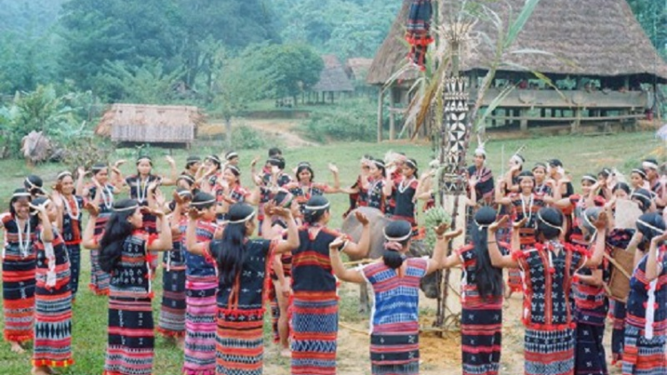 Dom panuac kakei ngan haong ruak đậu mùa khỉ