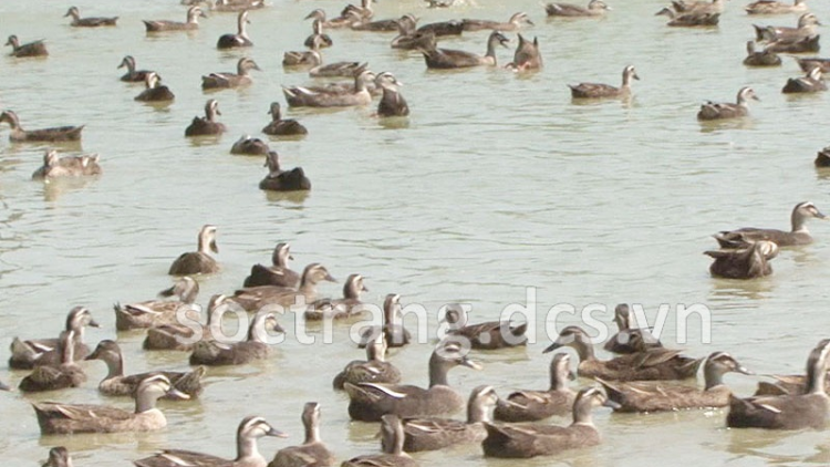 Raong ada ia patagok jien mek tame, pasiam raidiuk